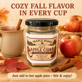 Hot Apple Cider Cinnamon Spice Mix